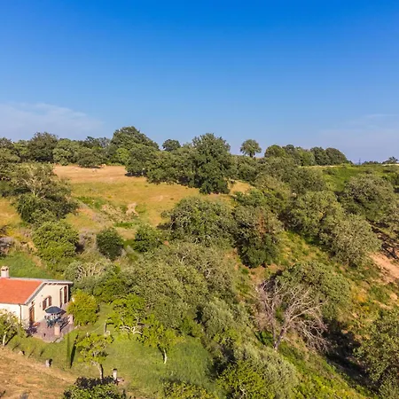 Holiday home Grilli By Interhome Scansano