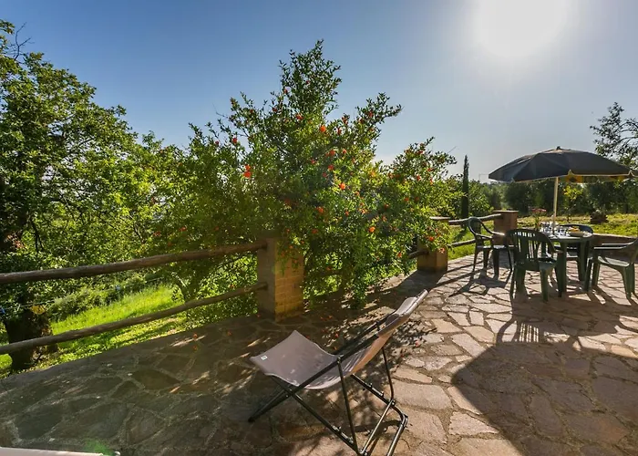 Grilli By Interhome Semesterbostad Scansano