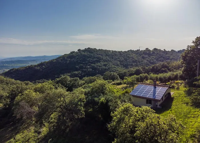 Grilli By Interhome Semesterbostad Scansano