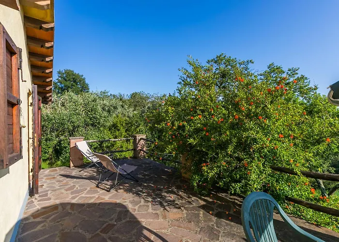 Grilli By Interhome Scansano