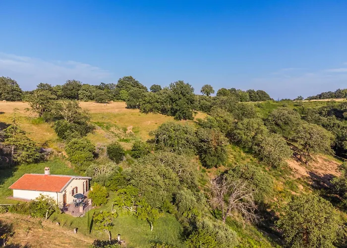 Semesterbostad Grilli By Interhome Scansano