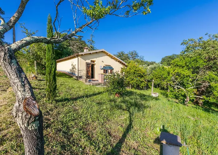 Grilli By Interhome Semesterbostad *